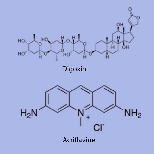 A graphic illustrating anti-cancer drug molucules.