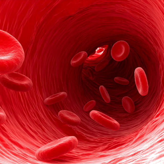 An illustration of the inside of a blood vessel.