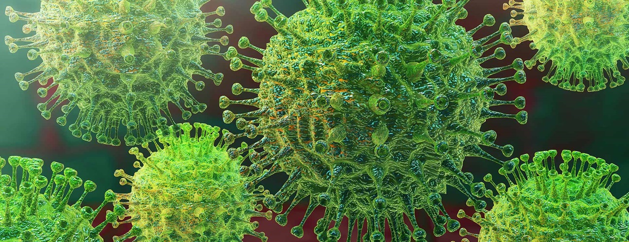 A group of coronavirus virions