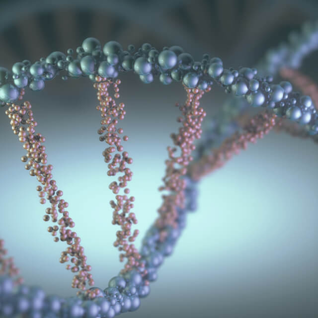 An illustration of DNA strands.