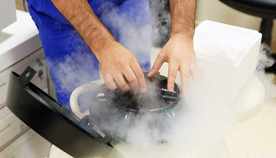 Lab technician handling a container with frozen eggs