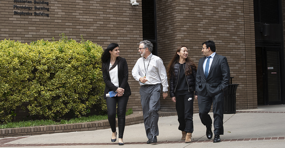 Faculty walking around the School of Medicine campus.