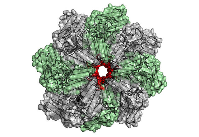 molecular biophysics