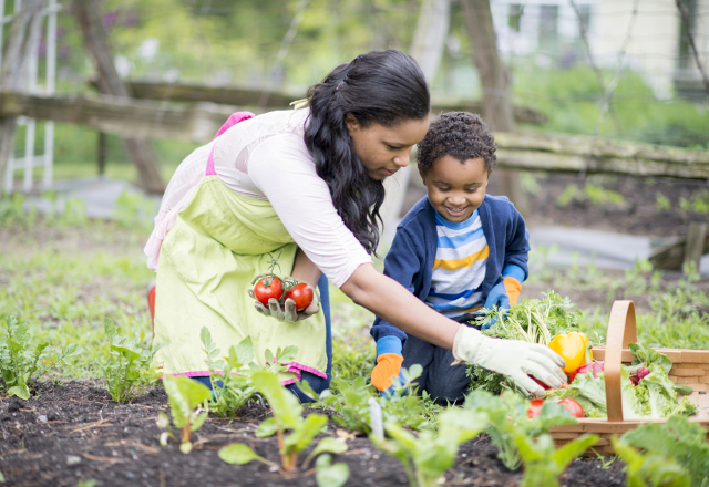 A mother and son garden together.