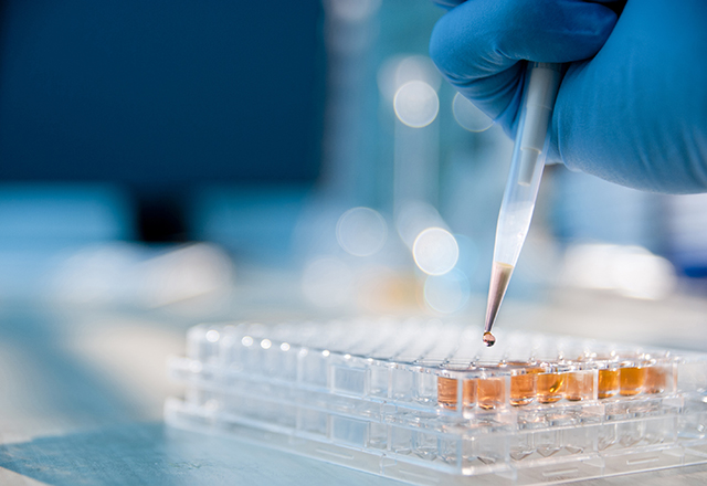 A close-up of a lab technician injecting liquid into a microtiter plate.