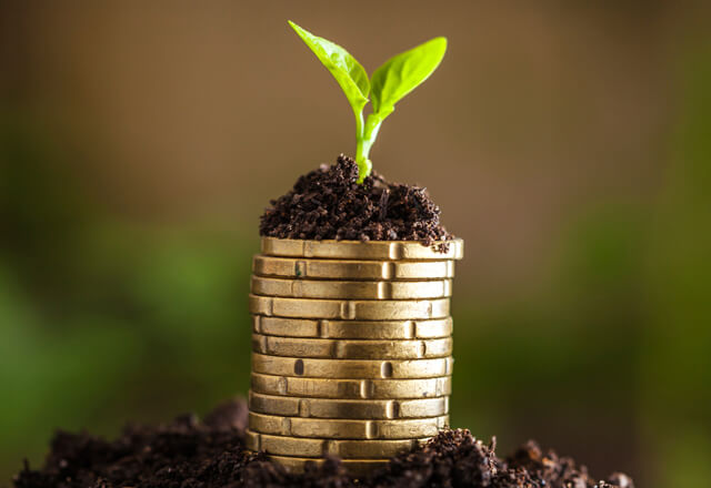 Coins with a leaf growing out