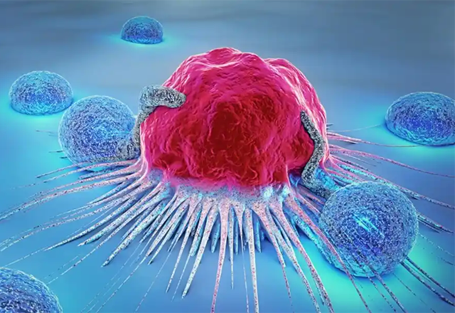 Cancer cell