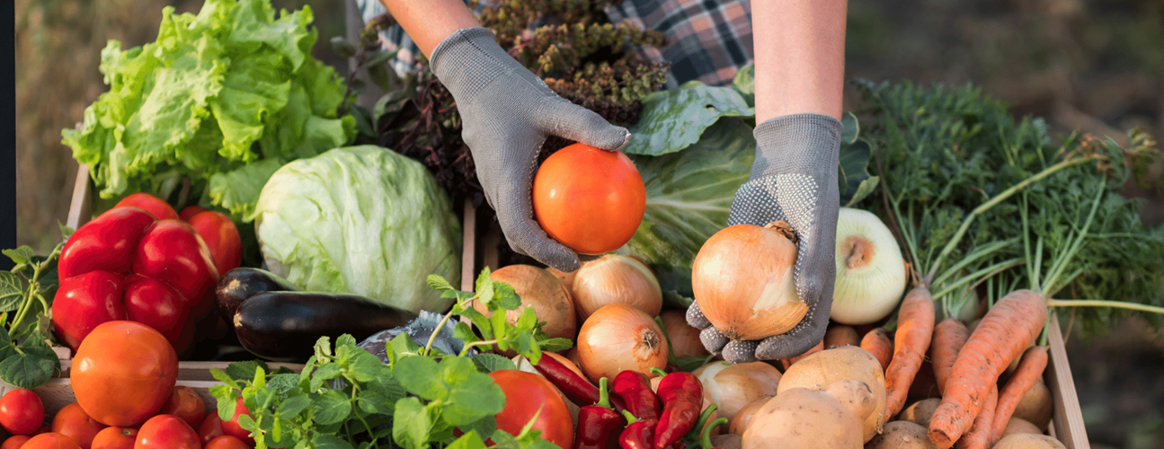 hands holding vegetables